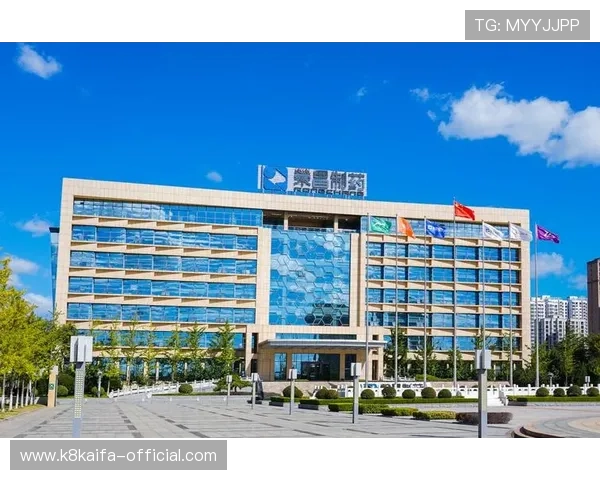 K8凯发线上官网官方平台详细介绍及注册流程全攻略